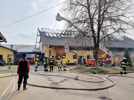 Pozar - Prebačevo (Novak) 2